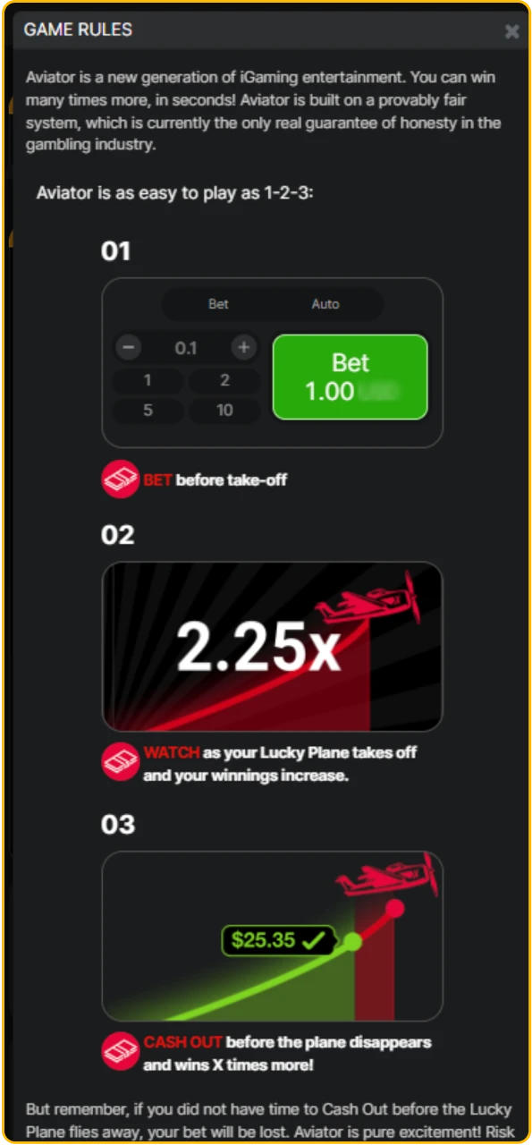 Examine the official instructions and rules for the Melbet Aviator session.