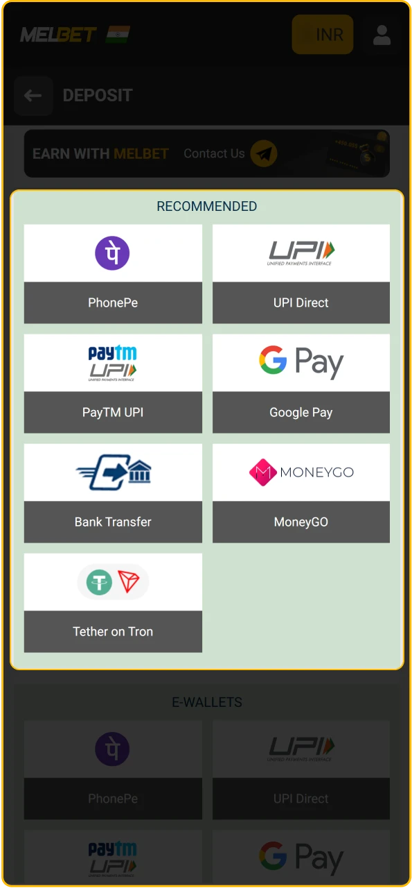 Select your preferred payment option and enter the sum you wish to deposit in Rupees.